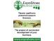 Projeto ExpoShoes on-line